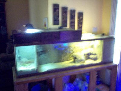 100 gal moved inside 090111.jpg