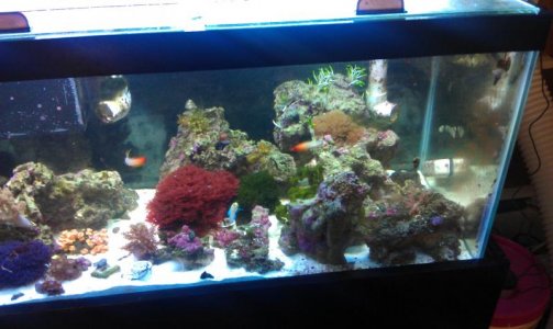 IMAG0073.jpg