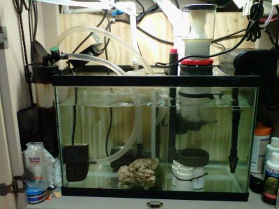 sump.jpg
