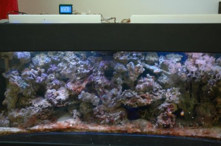 Fish tank led 4 017.jpg