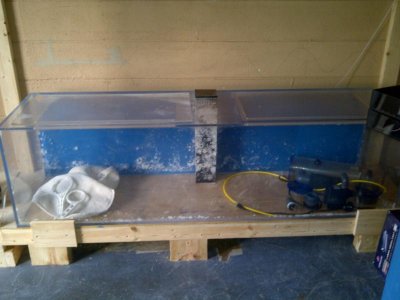 Boca Ciega-20110828-00074.jpg