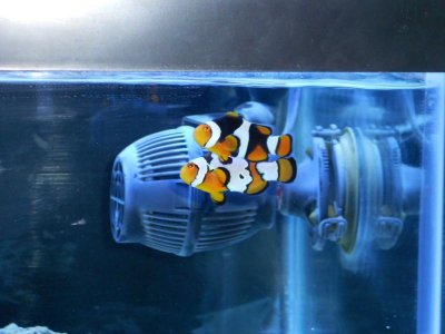 DSCN0198.jpg DSCN0198.jpg