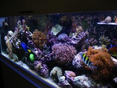 135g 003.jpg