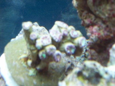 100_4240.jpg