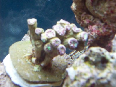 100_4241.jpg
