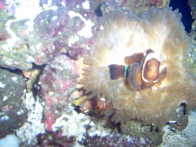 think they like each other.jpg