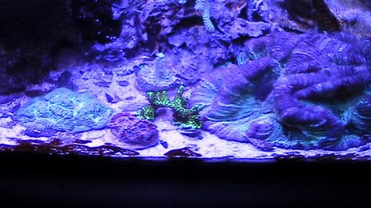 10g 090511 004.jpg