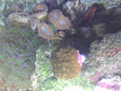 IMG_20110929_114447.jpg