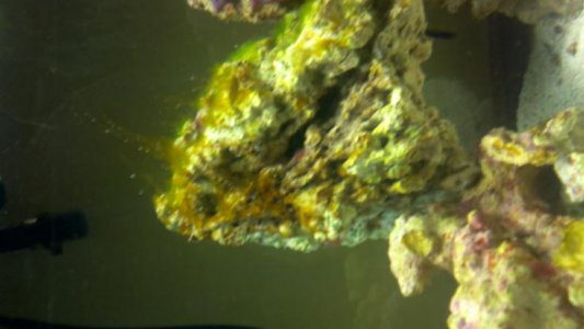 2011-09-07_23-10-27_695.jpg