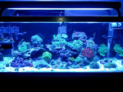 2011-08-29 23.43.38.jpg