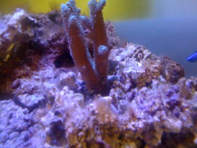 Worm2.jpg