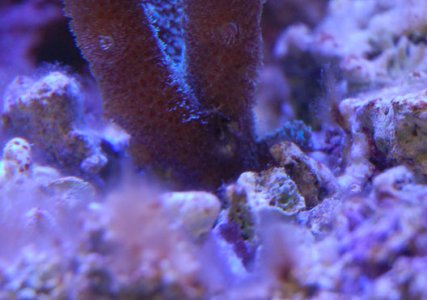 DSC_0010_3.jpg