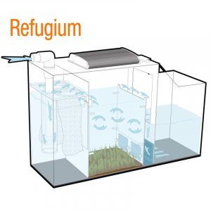 Refugium.jpg