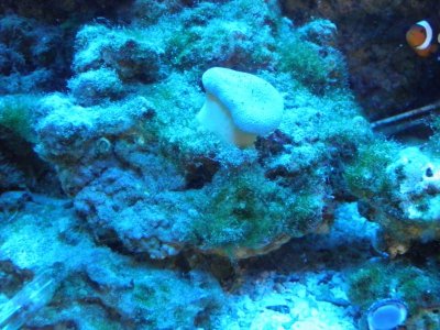 P3050254 - Copy.jpg