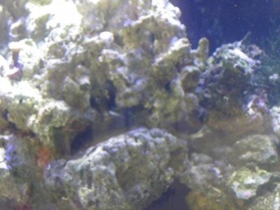 P9050030 - Copy.jpg