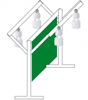 Picture 10.jpg