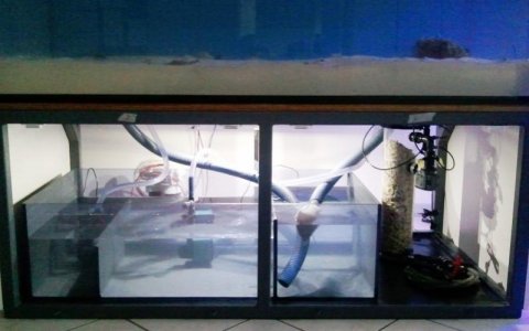 34 - sump filled.jpg