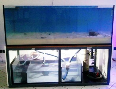 35 - completely filled.jpg