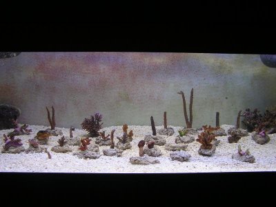 P1010081.jpg