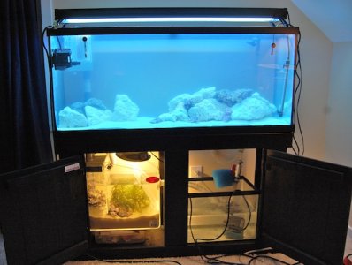 DT with Sump & Refugium. Setp 2011.JPG