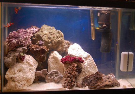 QT Less LR = W & B.JPG