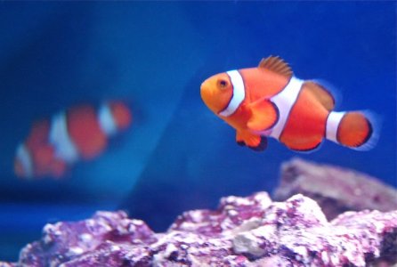 Winston & Broski - Sept 17th. Day2.JPG