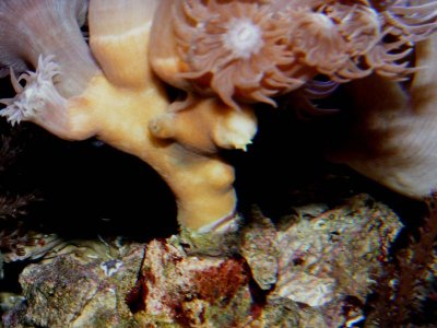DSCF4489.jpg