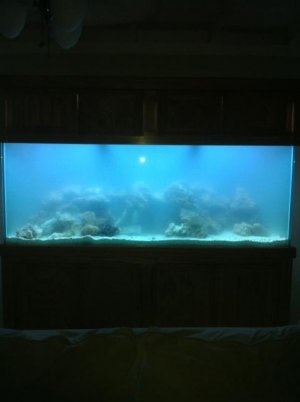 Aquarium 1.jpg