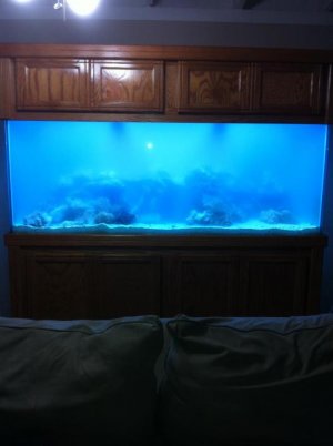 Aquarium 2.jpg