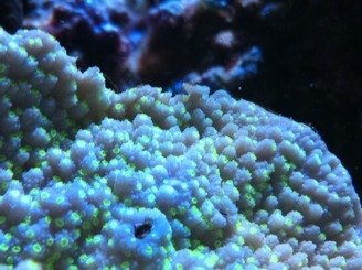 ImageUploadedByTapatalk1316315368.596815.jpg