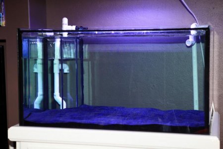 fishtank.jpg