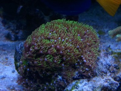 WP_000308.jpg