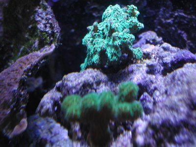 P1010252.jpg