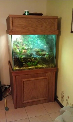 fishtank.jpg
