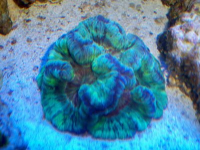 100_2051.jpg