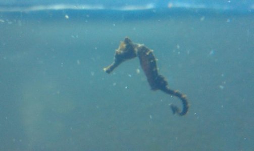 IMAG0364.jpg