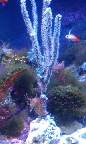 IMAG0333.jpg
