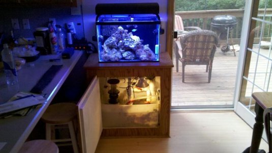 2011-09-21_15-03-38_181.jpg