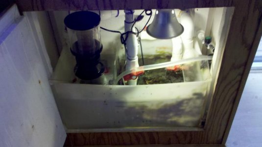2011-09-21_15-03-50_290.jpg
