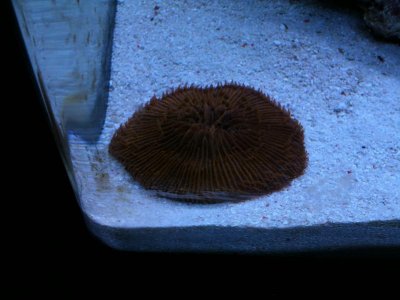 IMG_0117.jpg