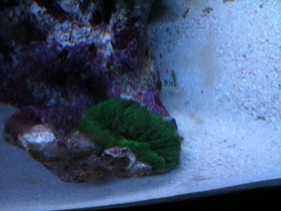 IMG_0120.jpg