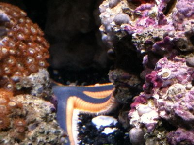 IMG_0158.jpg