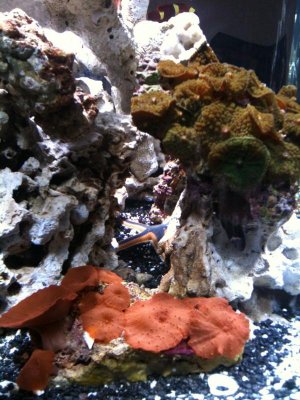IMG_0156.jpg