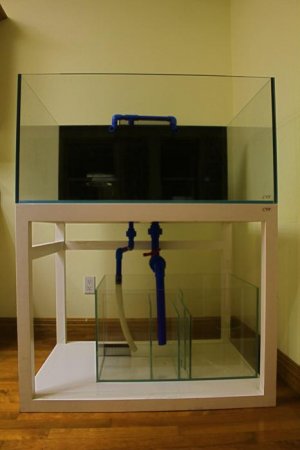 tank2.jpg