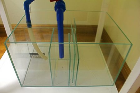 sump1.jpg