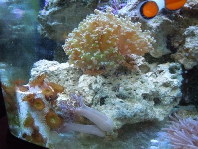DSCN0625.jpg
