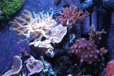 FTS.jpg