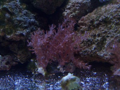 100_2233.jpg