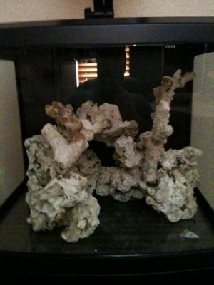 IMG_0117.jpg