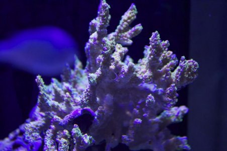 IMG_0361.jpg